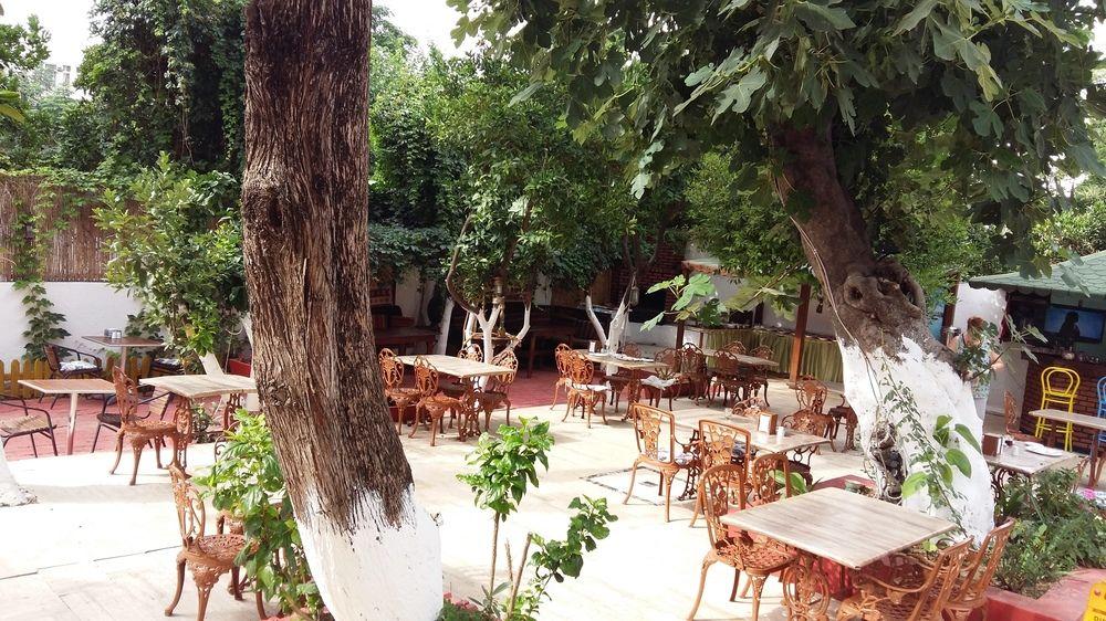 קמר Kaliptus Hotel מראה חיצוני תמונה